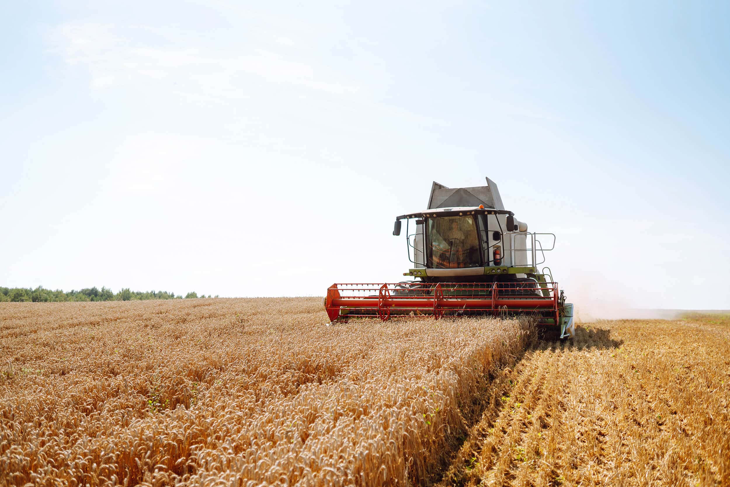 modern-industrial-combine-harvester-harvests-wheat-2024-07-04-19-31-06-utc_2500_optim